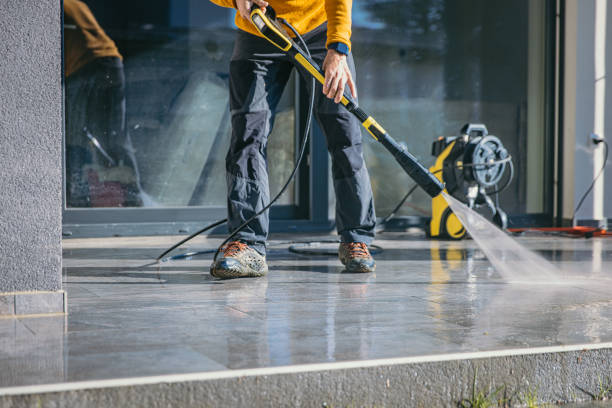 Best Roof Washing  in Fowlerville, MI