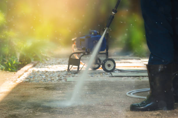 Best Solar Panel Cleaning  in Fowlerville, MI